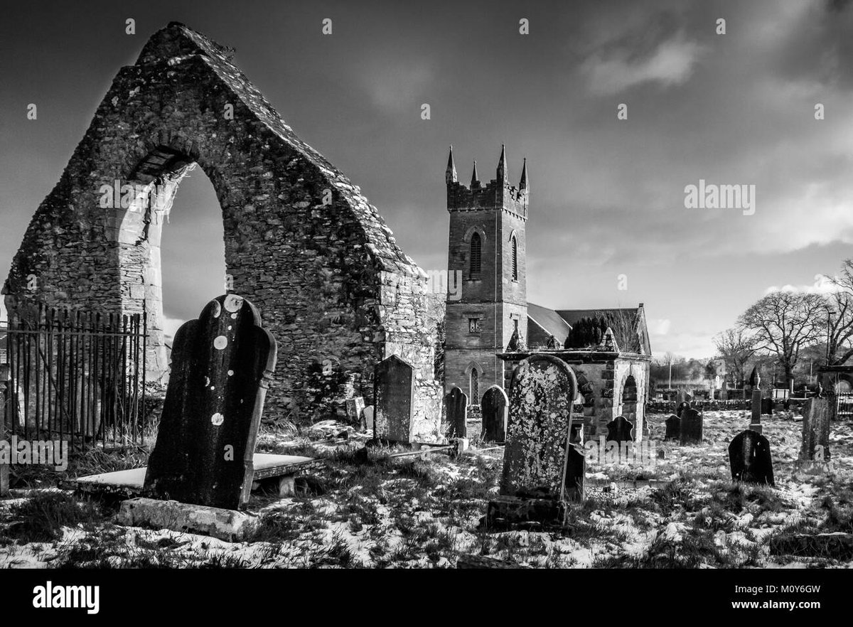 How Old Is Nico Robin In Slime She Is Not A Character